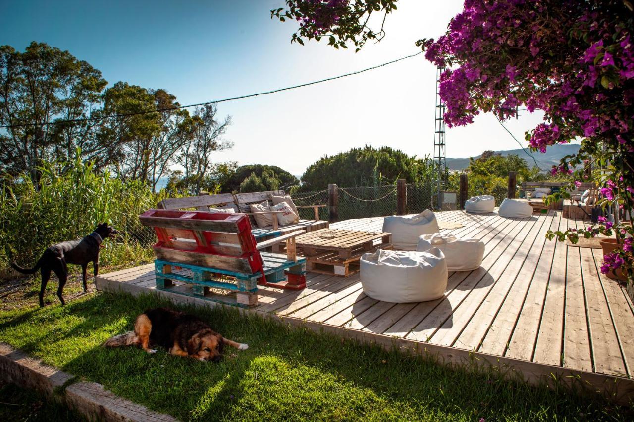 Wild House Tarifa Hostel Екстериор снимка